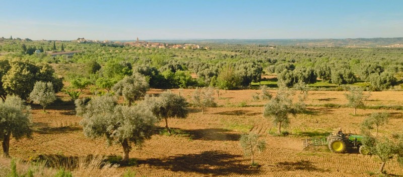 Weekend retreats health workshops Spain